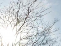 Un matin pour soi, ÉVEIL CORPOREL, les jeudis 8h50 – 10h , à&nbsp;MENS(mixage)