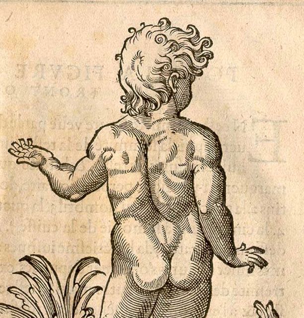 12 et/ou 13 July, le Auto-Soins du Dos, mini Stage Feldenkrais, à&nbsp;MENS