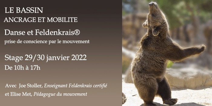 Danse improvisation et Feldenkrais – Le Bassin, Ancrage et Mobilité – Changement de date — WE 19/20 Mars 2022 à&nbsp;Grenoble