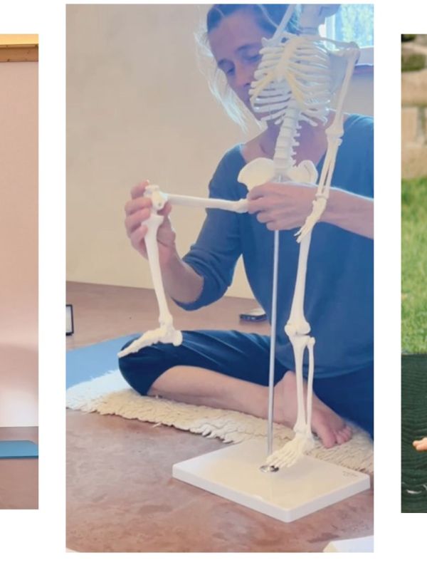 27-30 AOUT 2026, SPECIAL STAGE pour ENSEIGNANTS de YOGA : FELDENKRAIS & ANATOMIE FONCTIONNELLE  à Châtillon-en-Diois