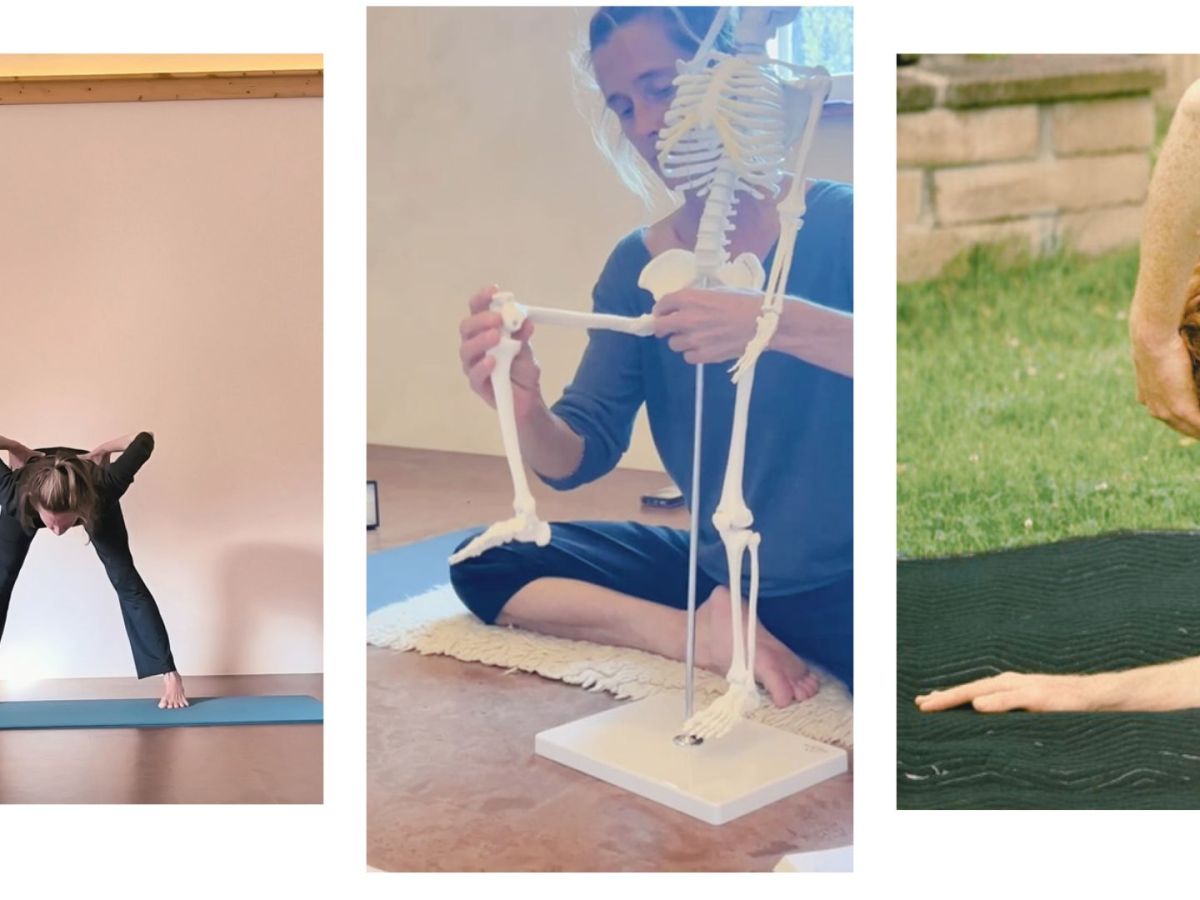 27-30 AOUT 2026, SPECIAL STAGE pour ENSEIGNANTS de YOGA : FELDENKRAIS & ANATOMIE FONCTIONNELLE  à Châtillon-en-Diois